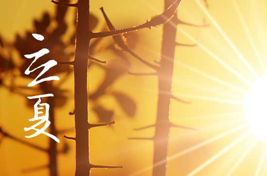 立夏时间2023几点几分 立夏是什么节日