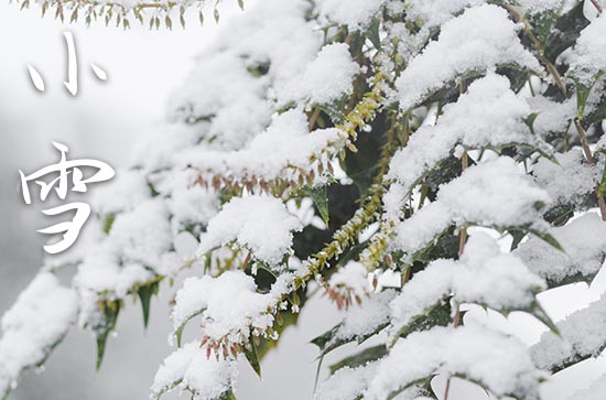 2023小雪是几月几日 2023年11月22日是小雪吗